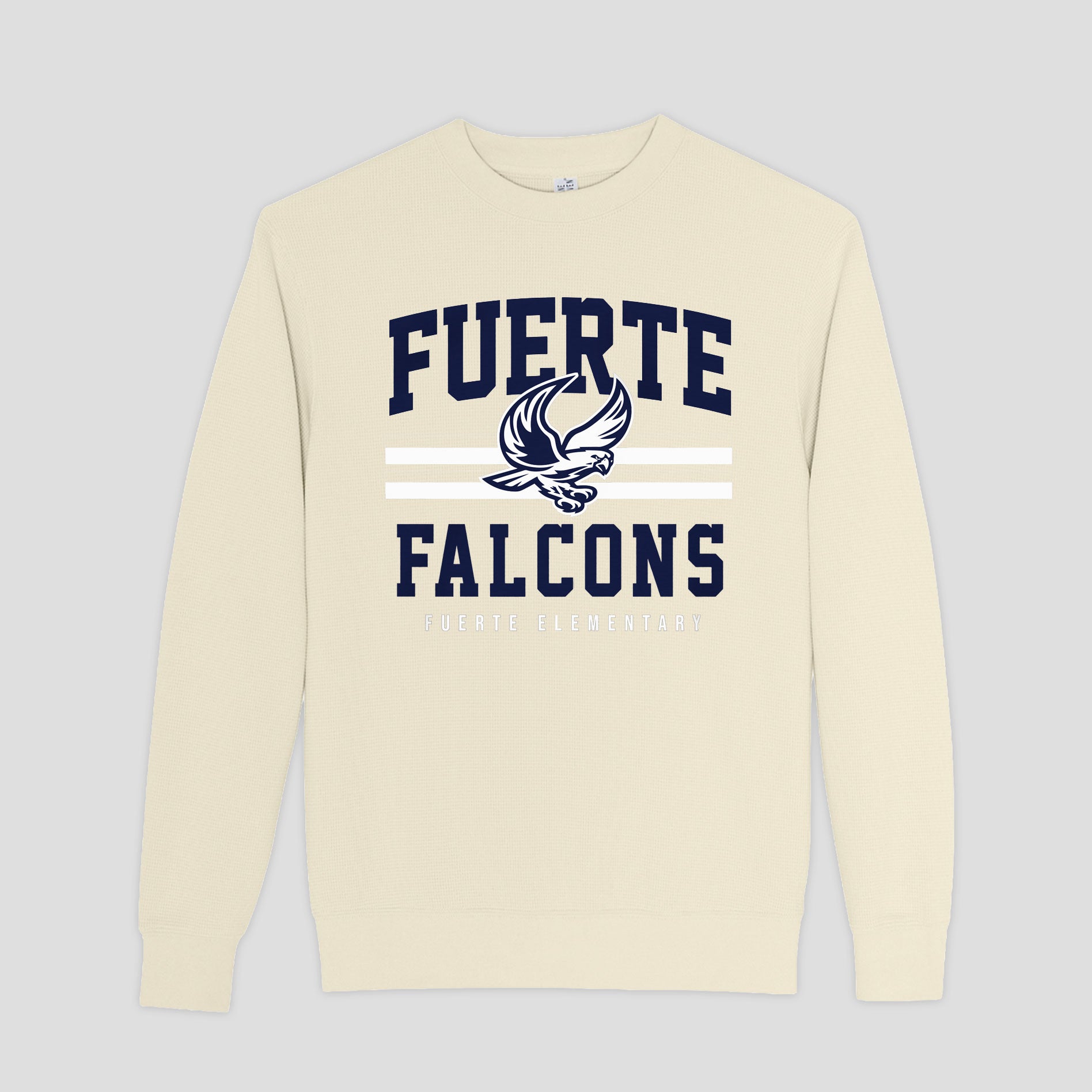 ls34004_go-falcons.jpg